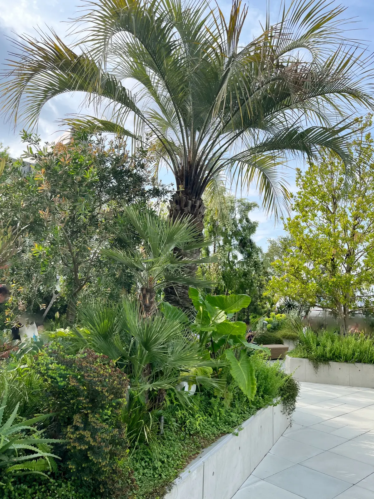 平日の原宿へ②の画像_11