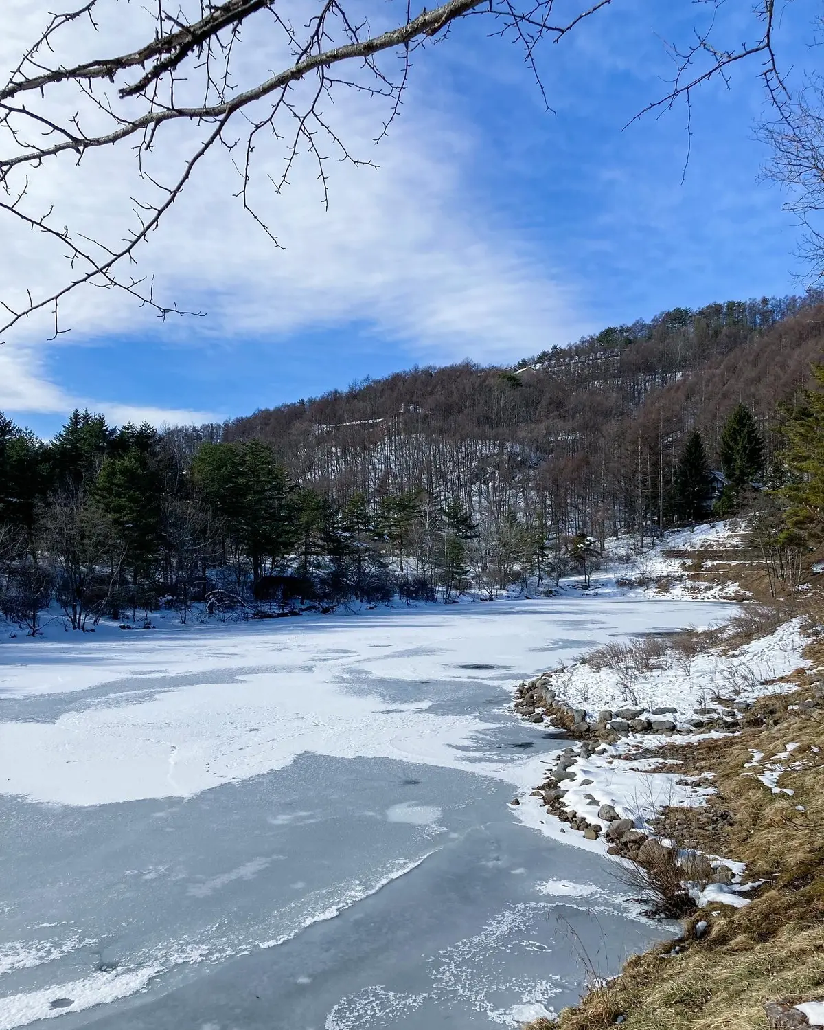 一面の銀世界への画像_11