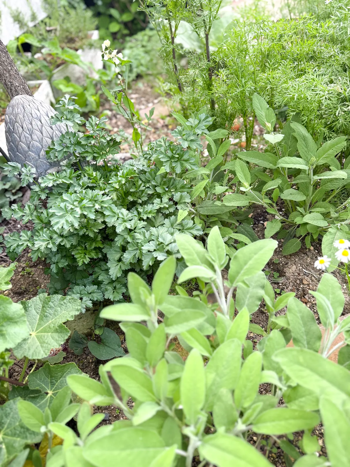 タッジーマッジーで癒しの時間の画像_5