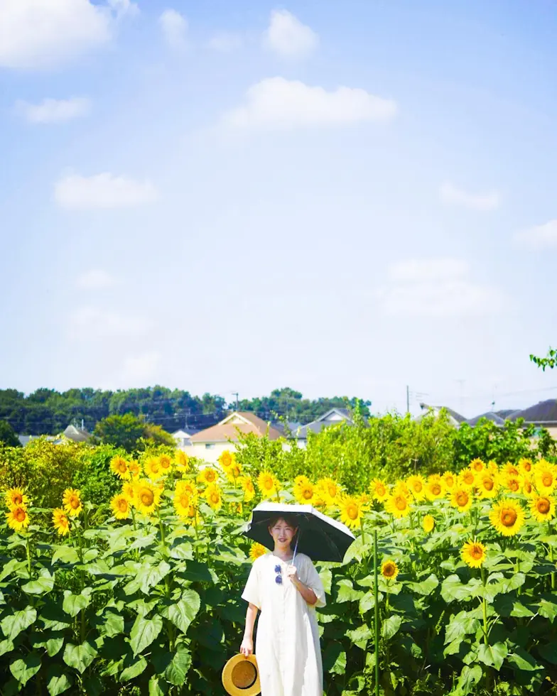 🌻ひまわりフェス🌻から、ひょっこりぽん♡の画像_6