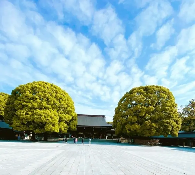 終息願って都会の杜への画像_1
