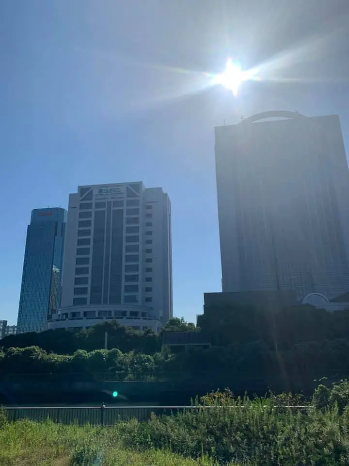 バスを乗り間違えたら、ほっこりに出会いまの画像_1