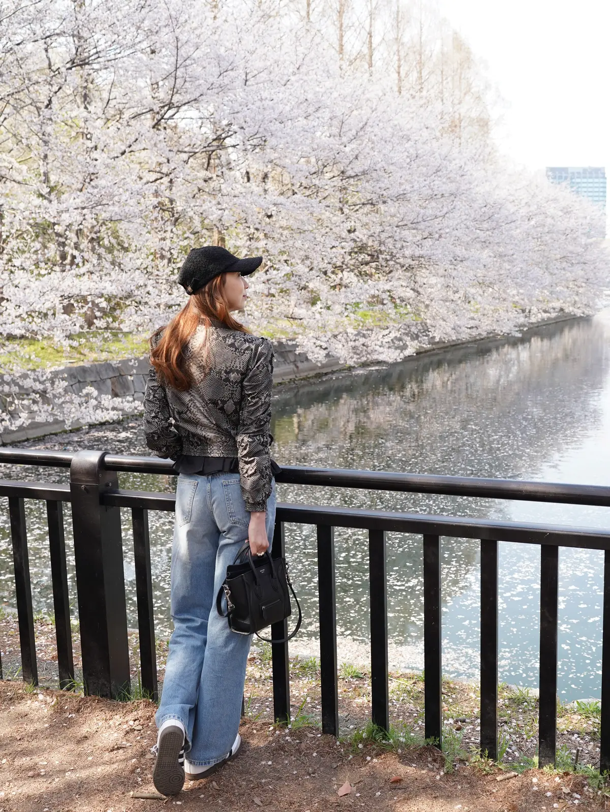 桜満開🌸大阪城公園へ♪の画像_2