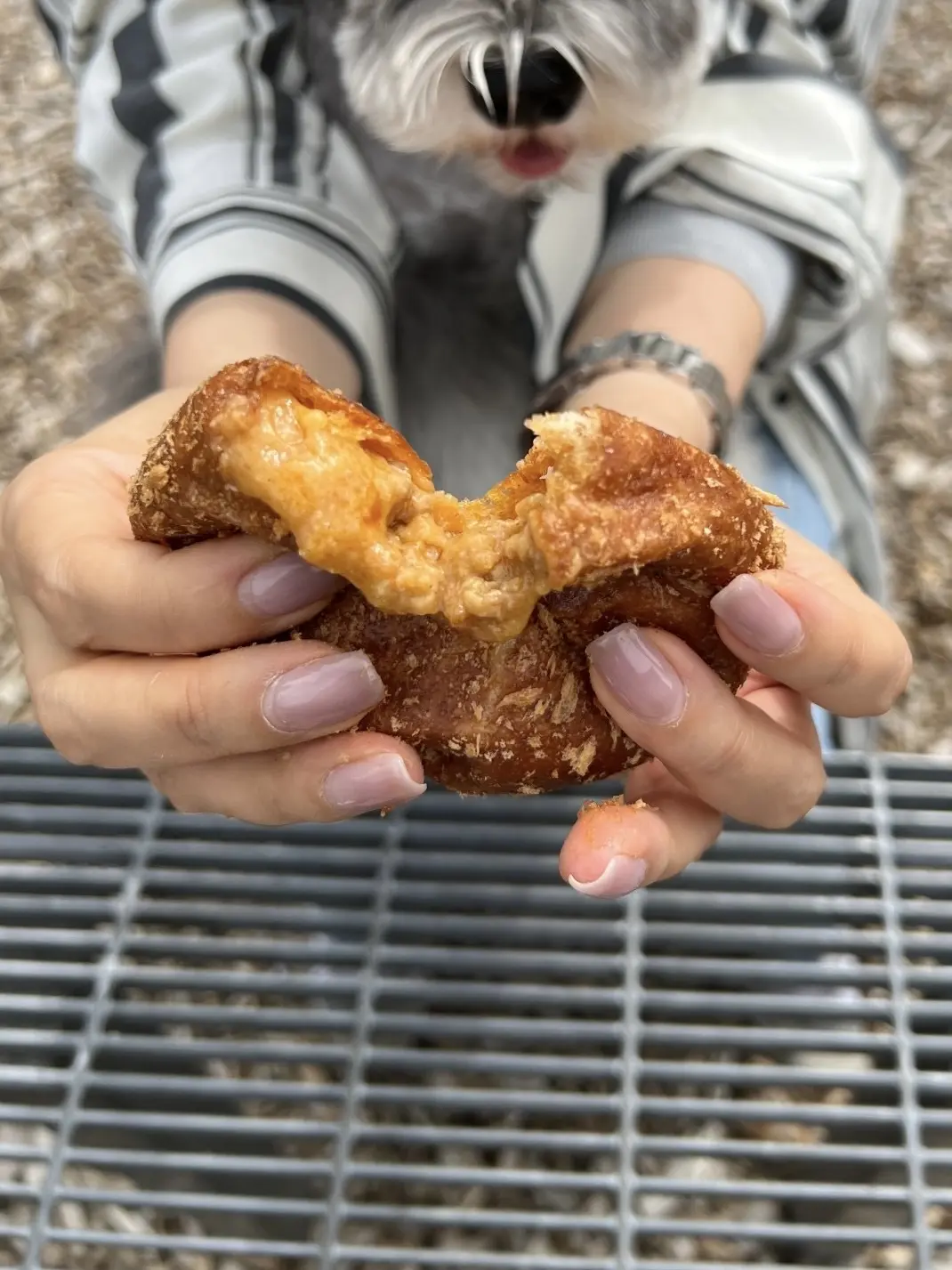 コナとスパイス