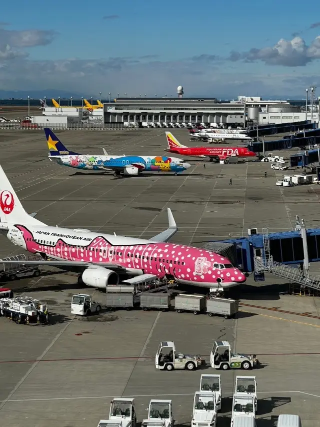 セントレアへお出かけの画像_2