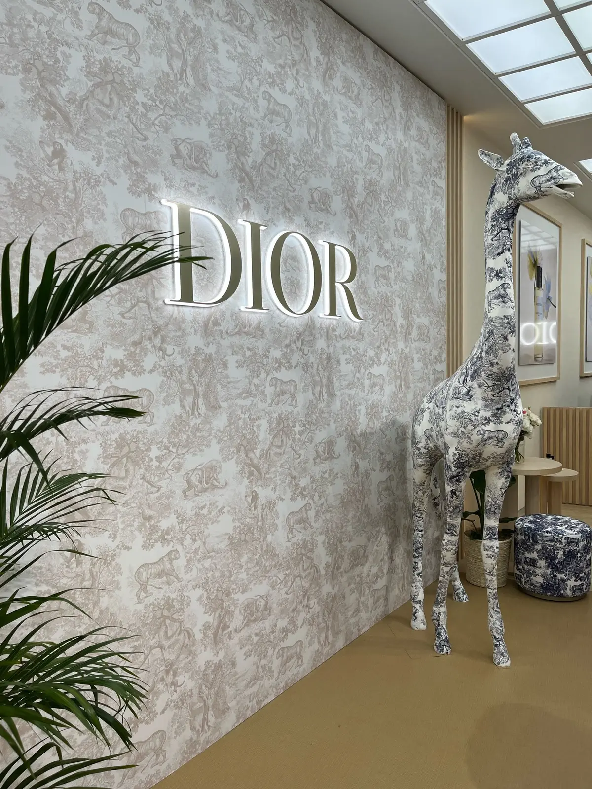 フォトスポット　インスタ映え