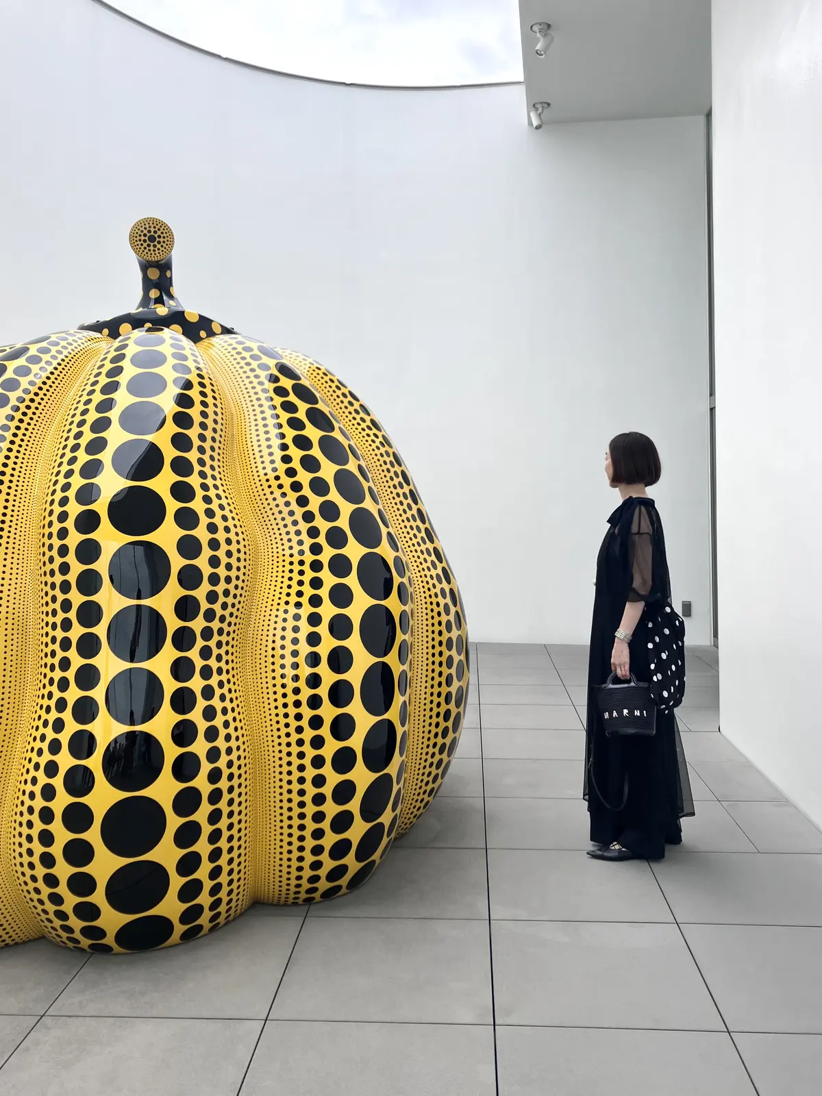 新宿の草間彌生美術館へ。の画像_2