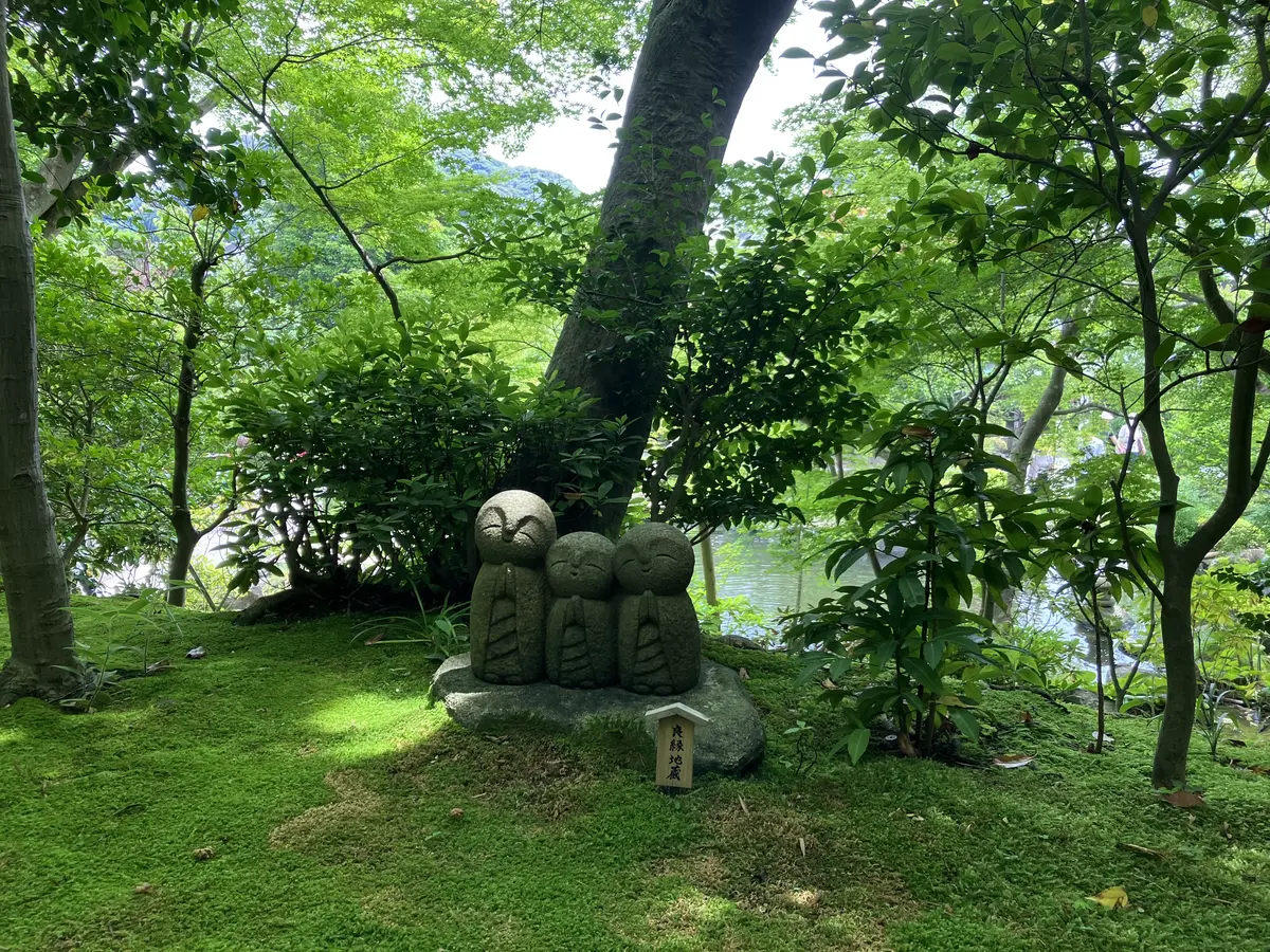 鎌倉紫陽花ツアーへの画像_2