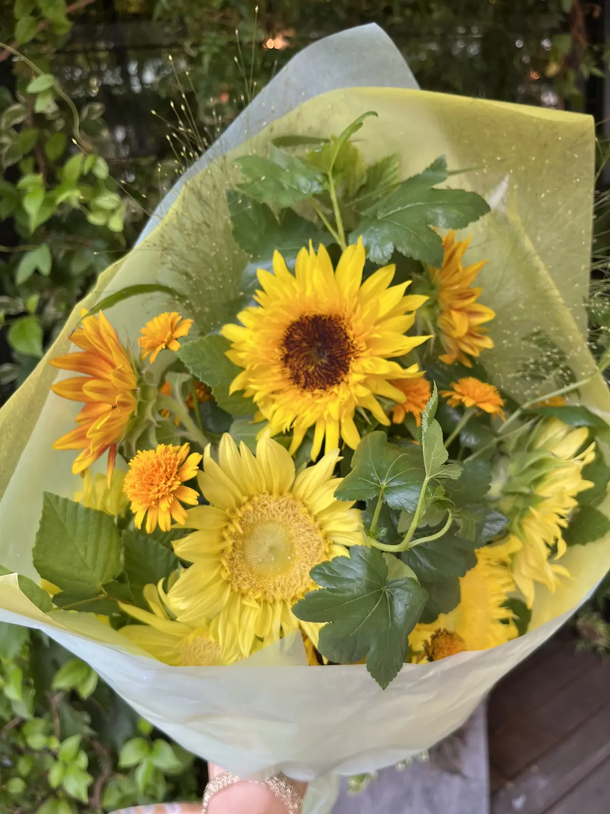 青山でヒマワリを楽しむの画像_7