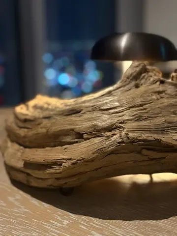 結婚25周年〜銀婚式〜のお祝いは、念願のの画像_3