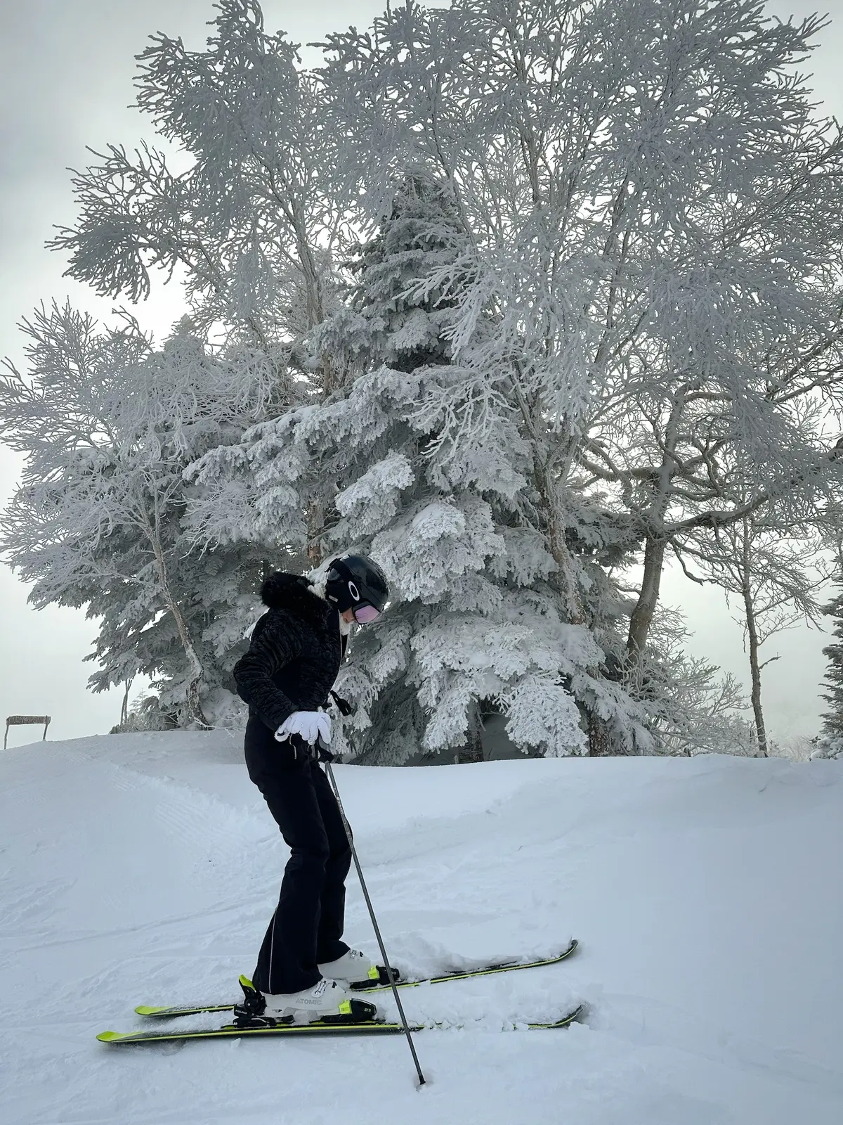 今季初滑りは毎年恒例の奥志賀高原での画像_5