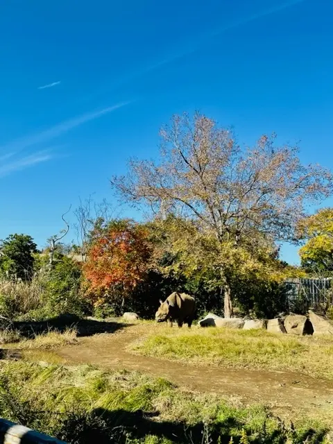 横浜動物園ズーラシアの画像_2