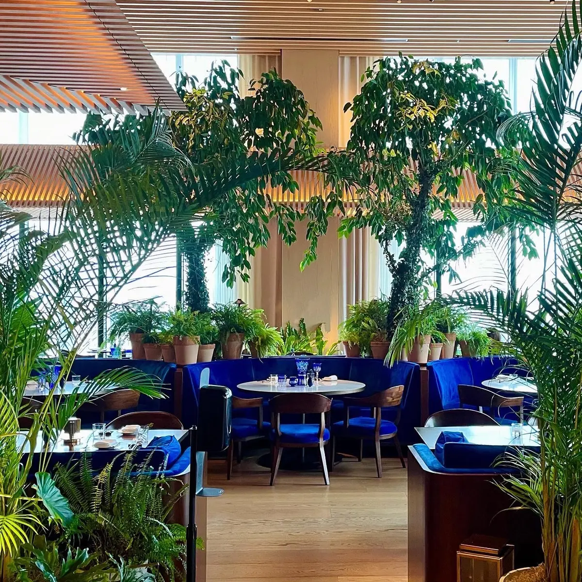 東京エディション虎ノ門のレストラン「ブルーダイニング」入口