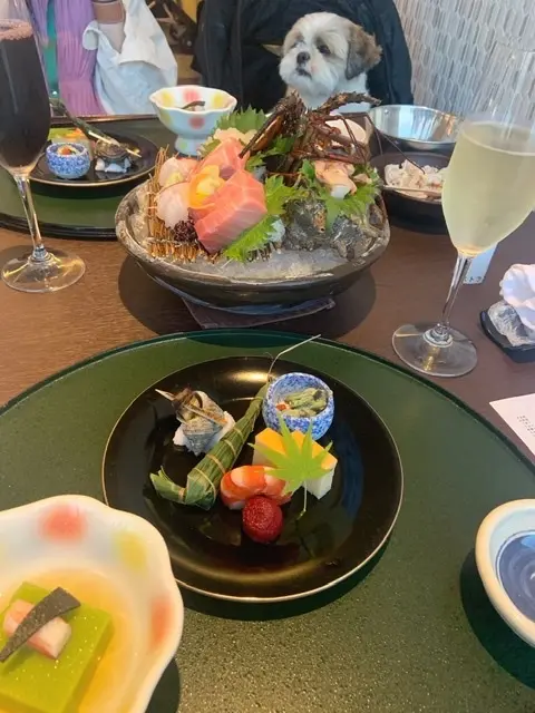 愛犬との旅行の画像_9