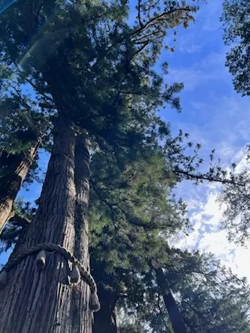 ZARAのダウンで♥パワースポットの三峯の画像_11