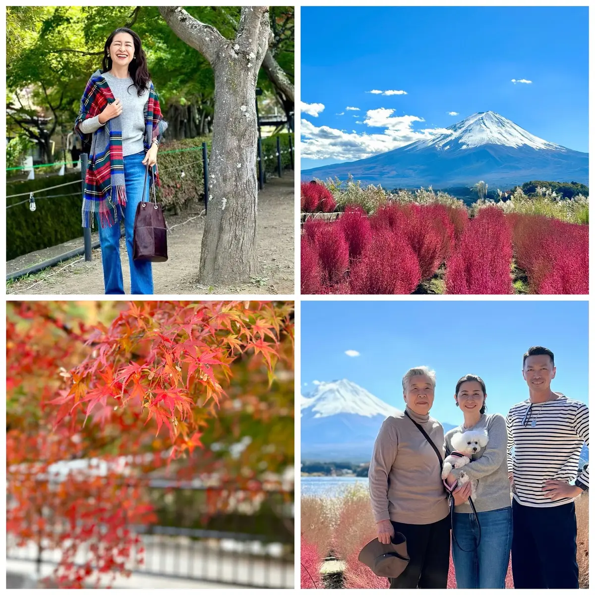 静かな時間と秋の景色を楽しむ河口湖の旅の画像_50