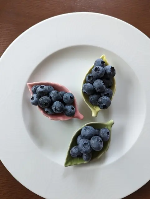 ブルーベリー「エリザベス」「ジャージー」「ブルーレイ」の3種類