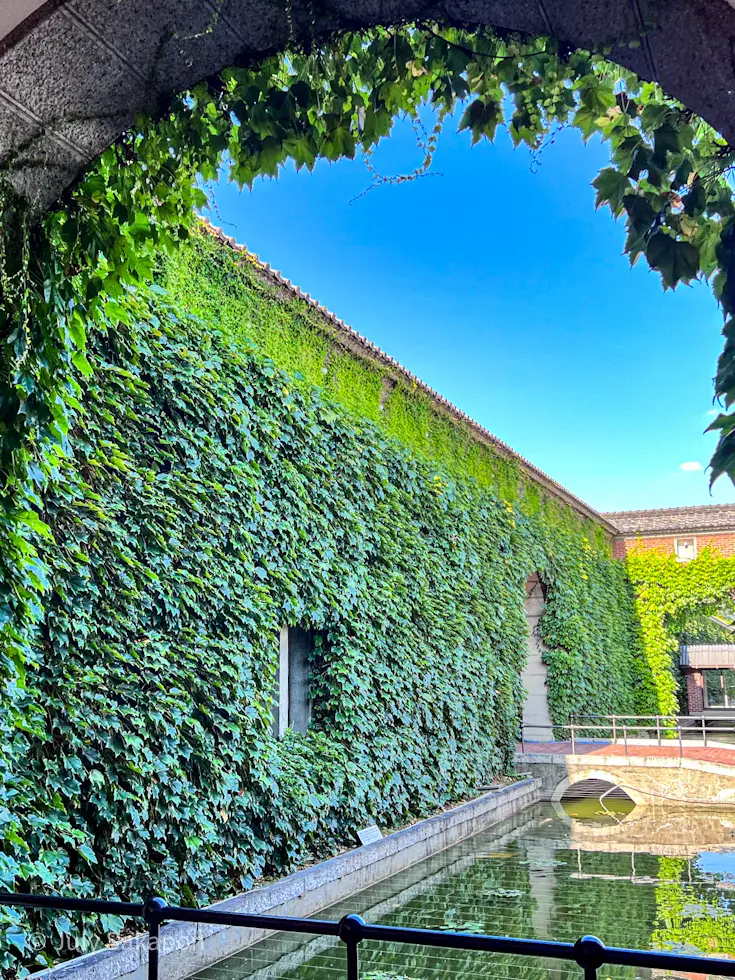 【さかぽんの夏休み】ぶらり☆岡山ナツ旅☆の画像_8