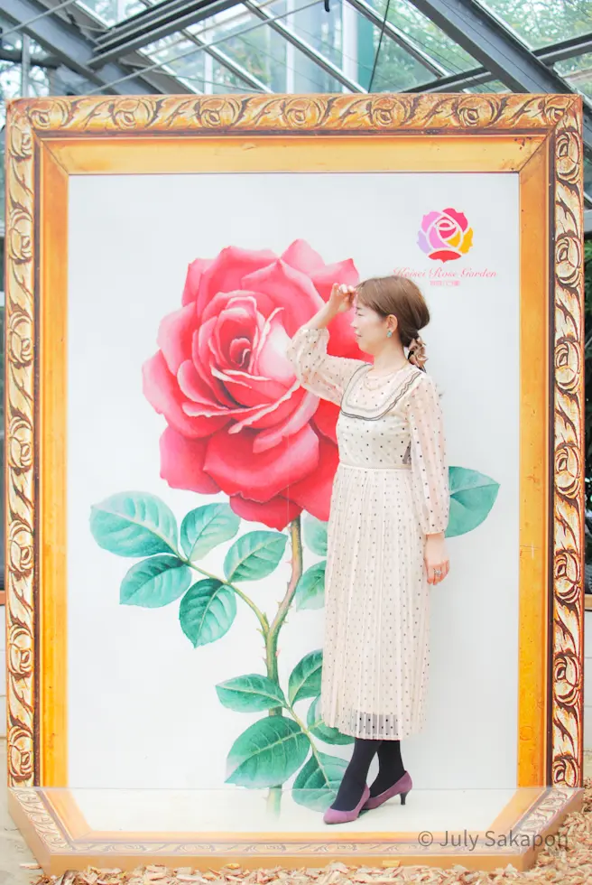 【さかぽんの冒険】秋バラの香りを探して♡の画像_8