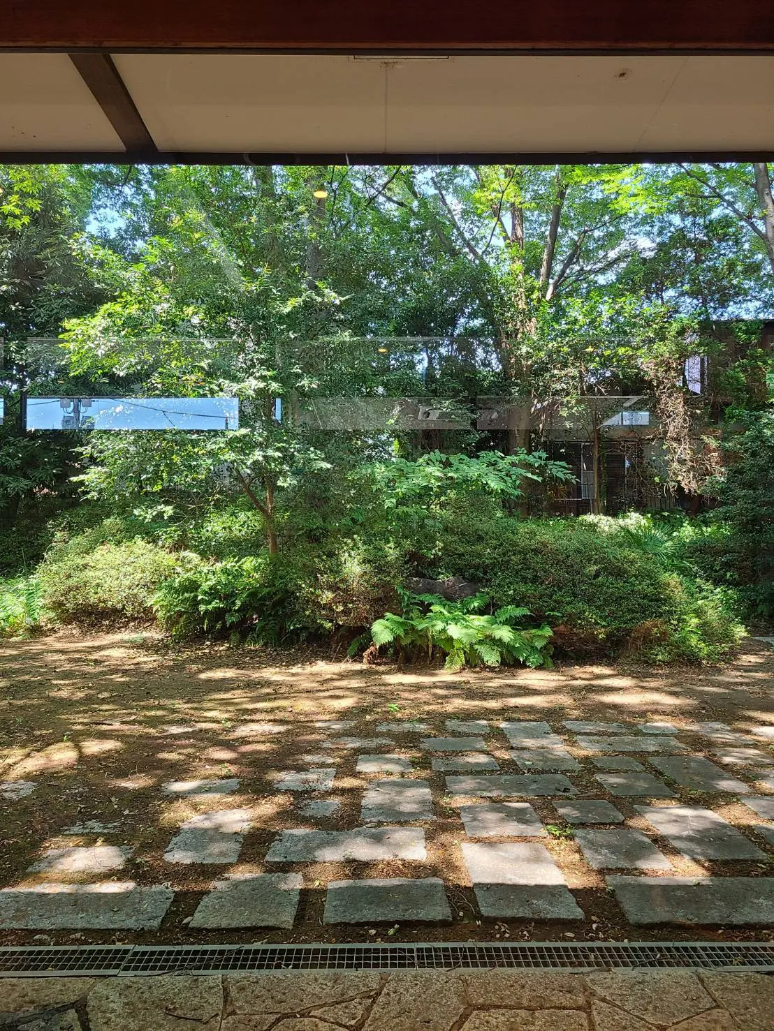 都心の喧騒から少し離れた緑豊かなカフェの画像_2