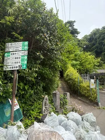 新緑眩しい鎌倉ハイキングに出掛けませんかの画像_7