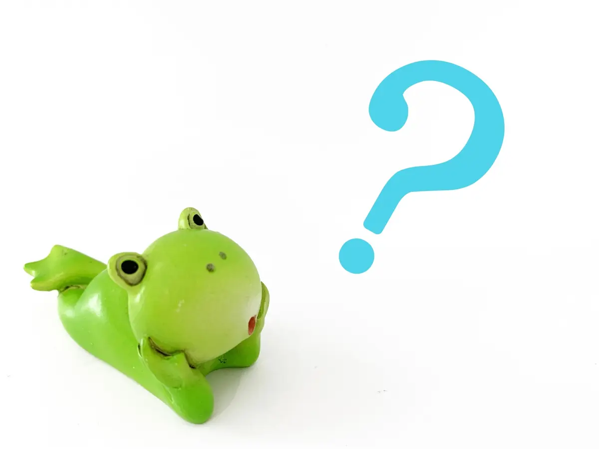 アラフィー女性のホンネ：あまり他人に知らの画像_1