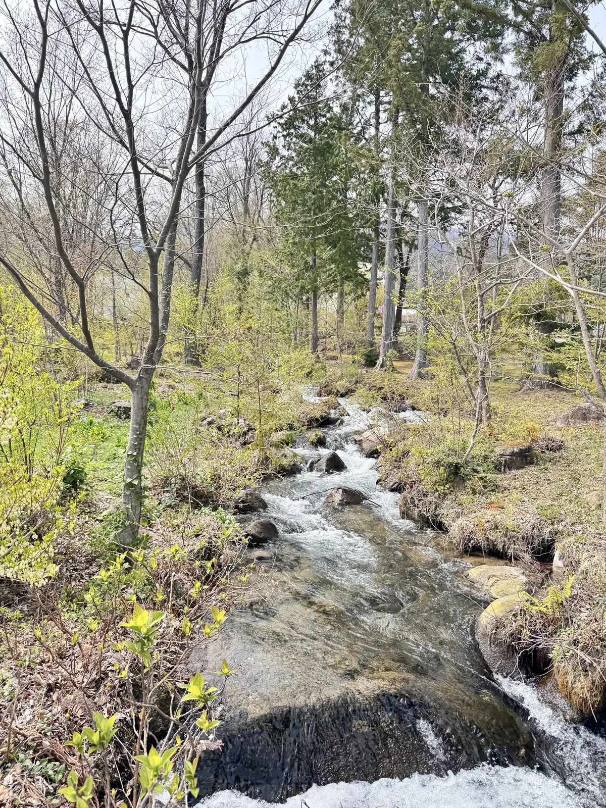 リッチブラウンでパンツコーデ。”旬”を取の画像_5