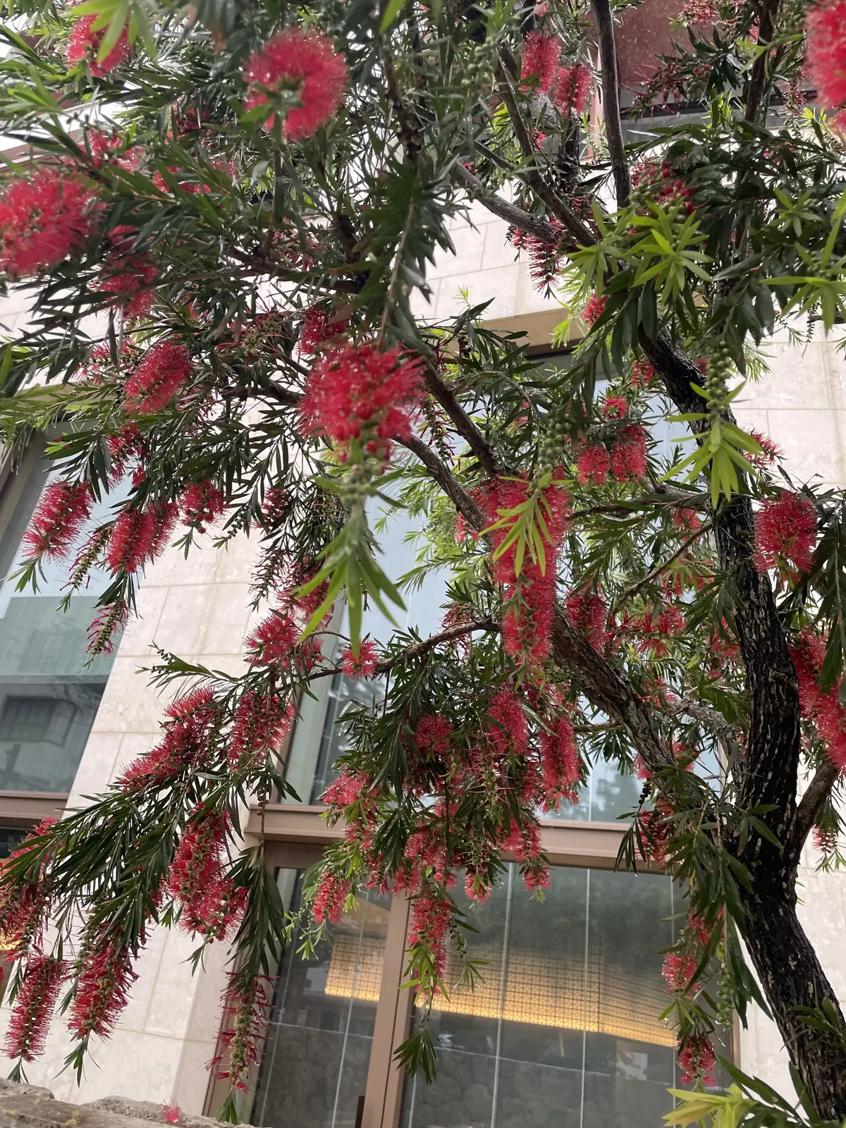 シーズンオフ 2泊３日の沖縄旅　島ぜんぶの画像_6