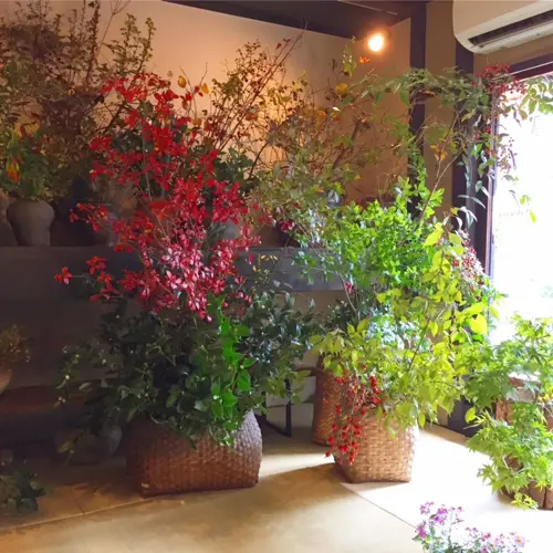 京都めぐり　その２の画像_7