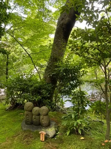 リアルタイムでお伝えする、鎌倉長谷寺あじの画像_6