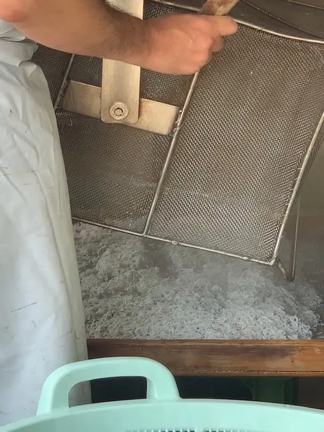 湘南　湘南しらす　釜揚げしらす