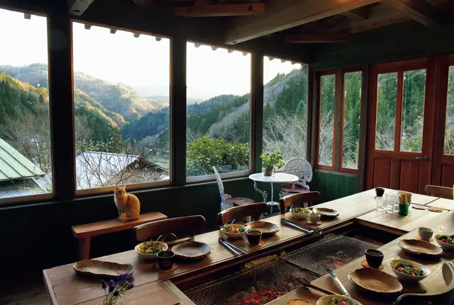 有元葉子　高知