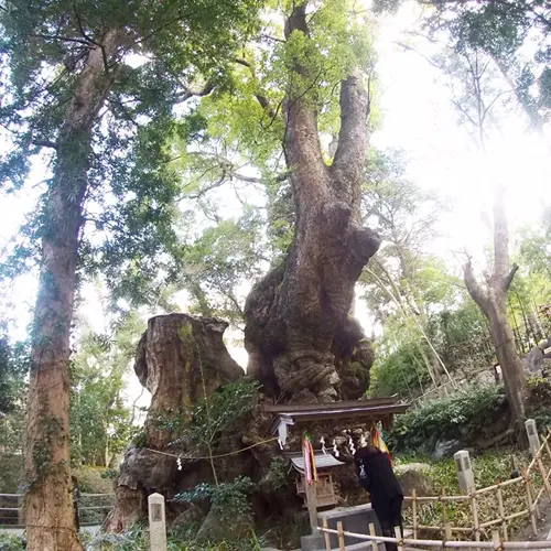 ドライブ♪の画像_4