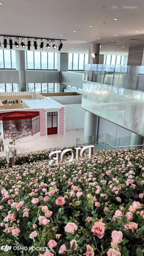 【DIOR】グランヴィルのローズガーデンの画像_5