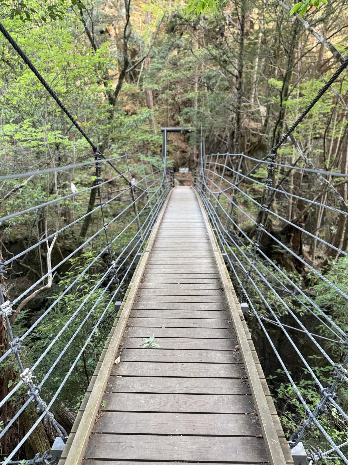 岐阜・付知峡の観音滝と新緑の風景と吊り橋からの風景