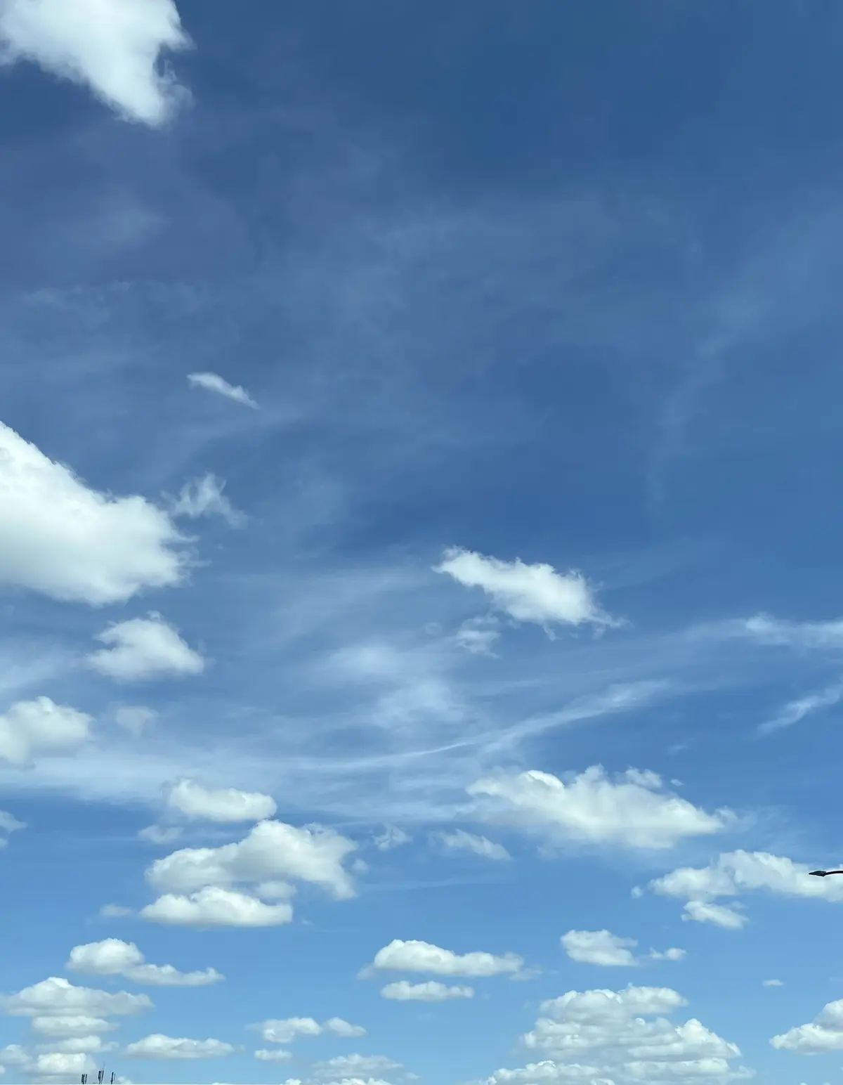 横浜で朝活♪ ハイアット リージェンシーの画像_21