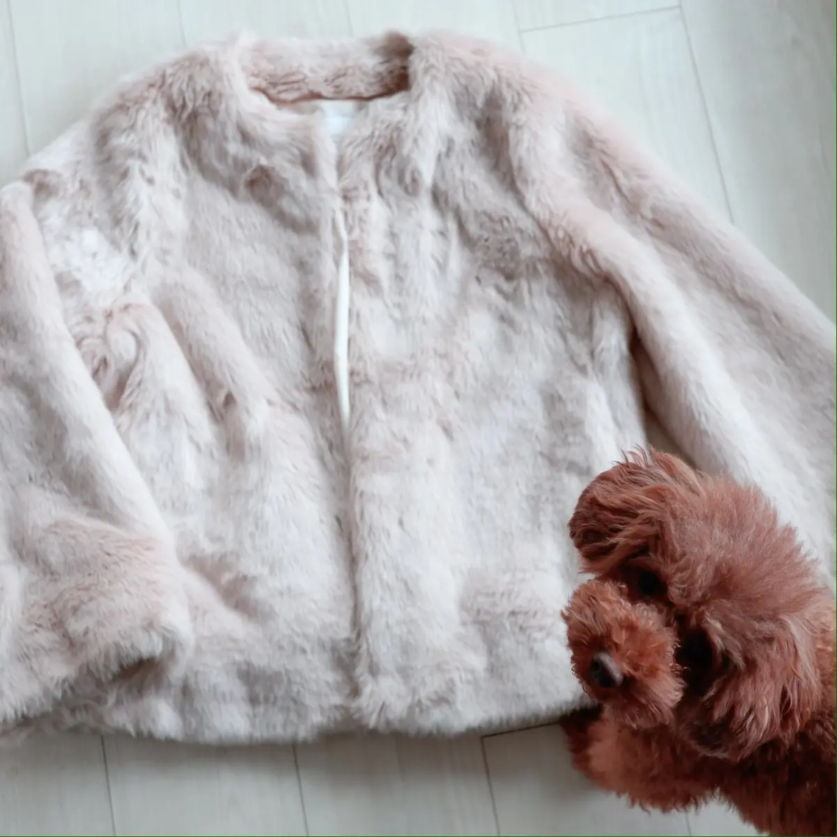 ショートコート　白コート　エコファー　