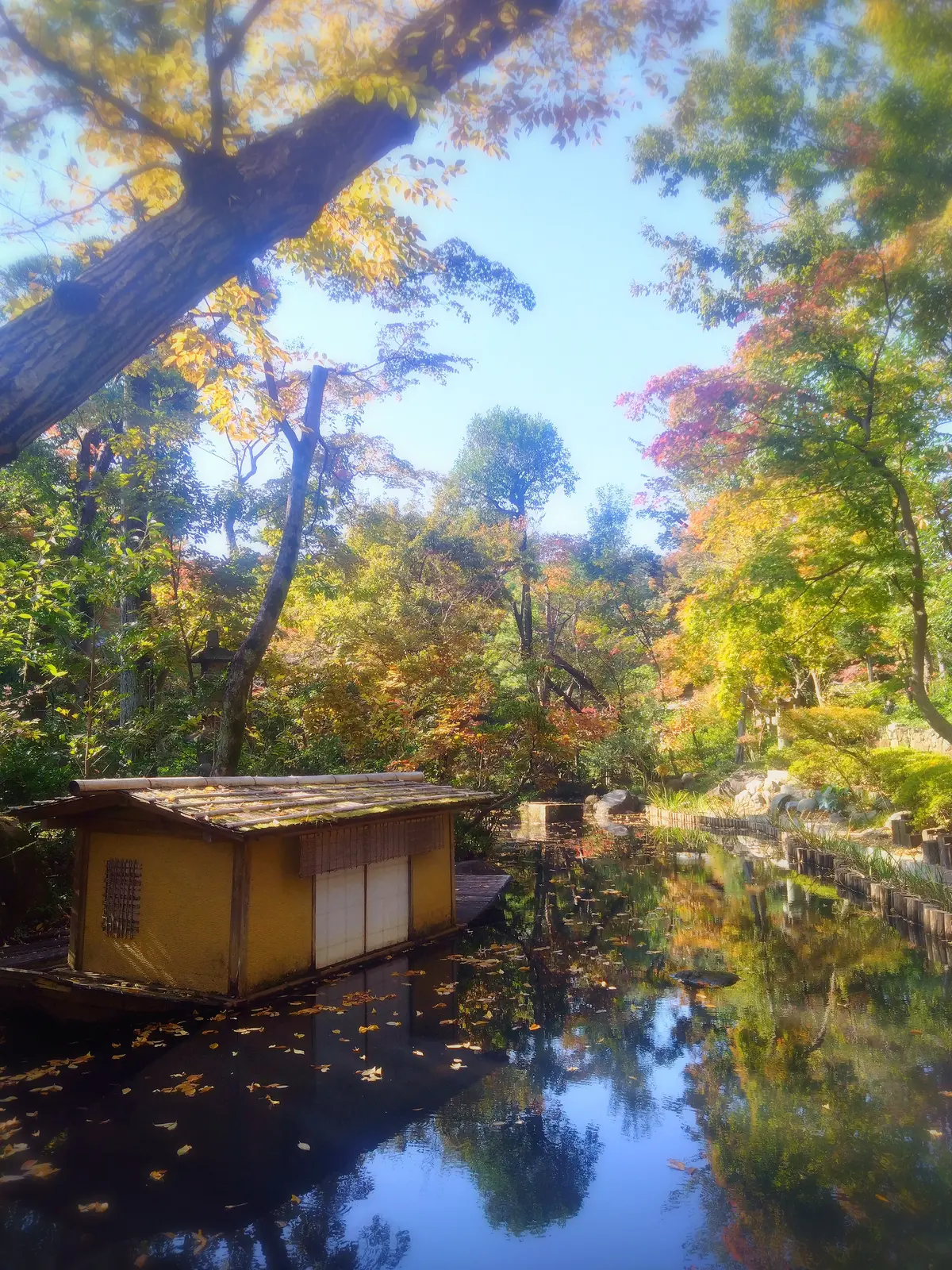 南青山の根津美術館、日本庭園、40代ファッション、ザラのジャンパースカート、トゥモローランドのカシミヤストール、紅葉