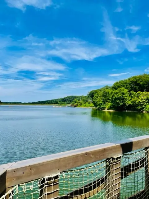 ＊ムーミンバレーパークへ＊の画像_8