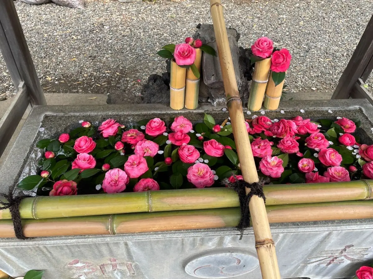 市谷亀岡八幡宮市谷の花手水