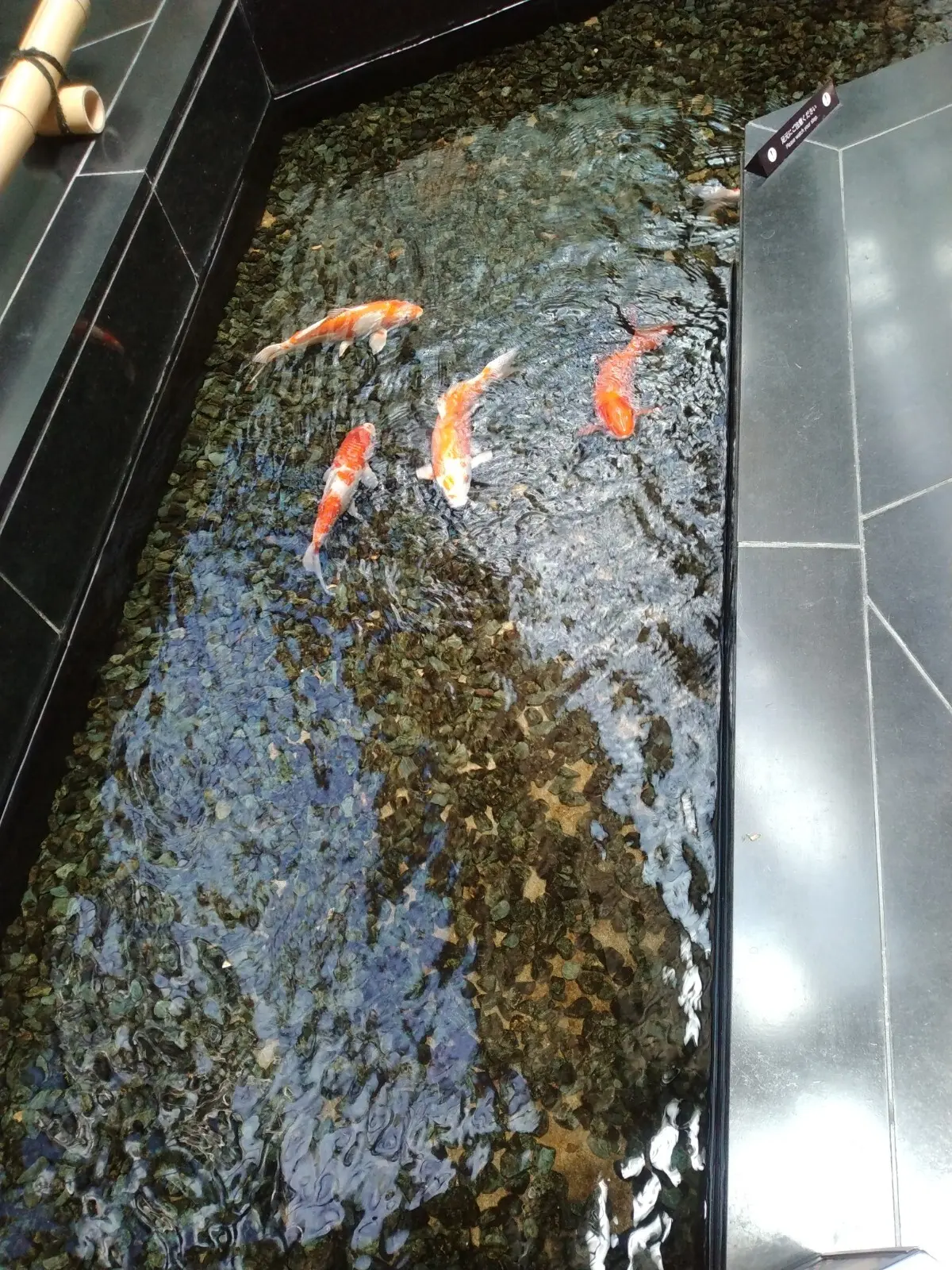 カフェ