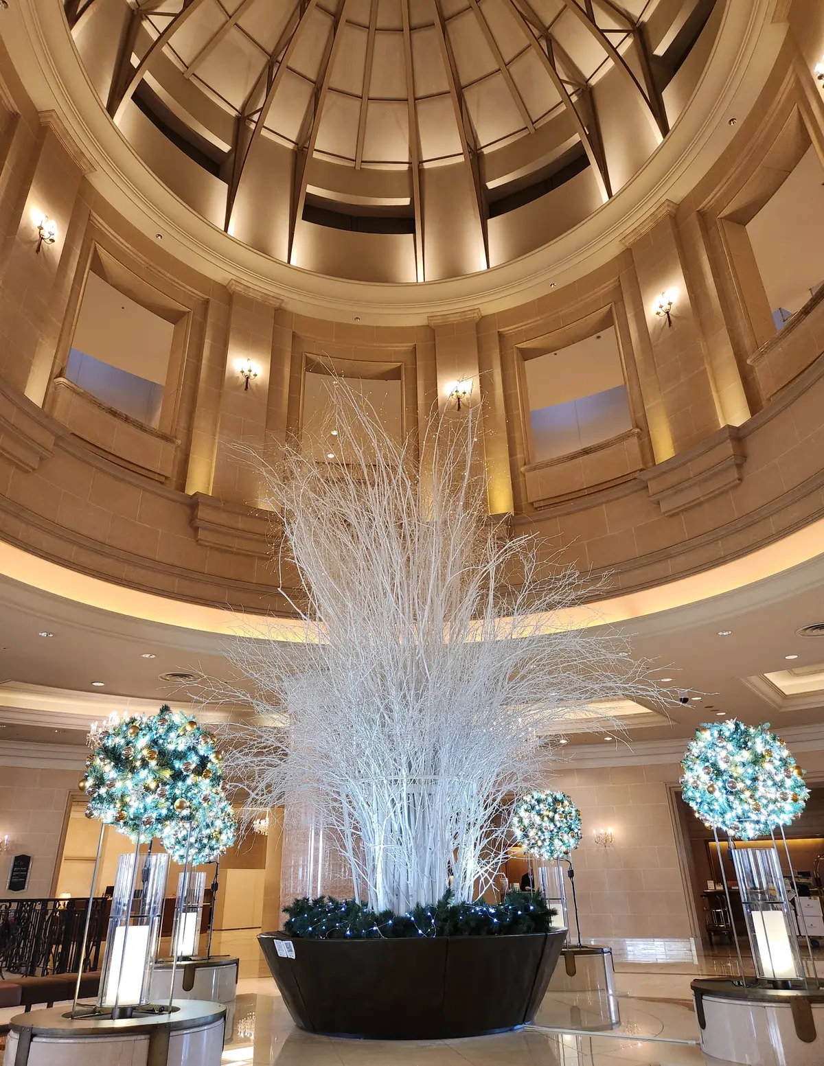 クリスマスパフェ活始まりました！の画像_2