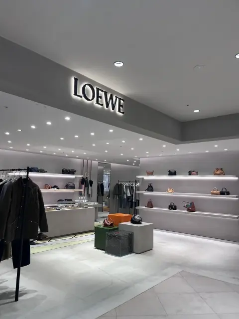 ロエベの気になるスモールウォレットの画像_4