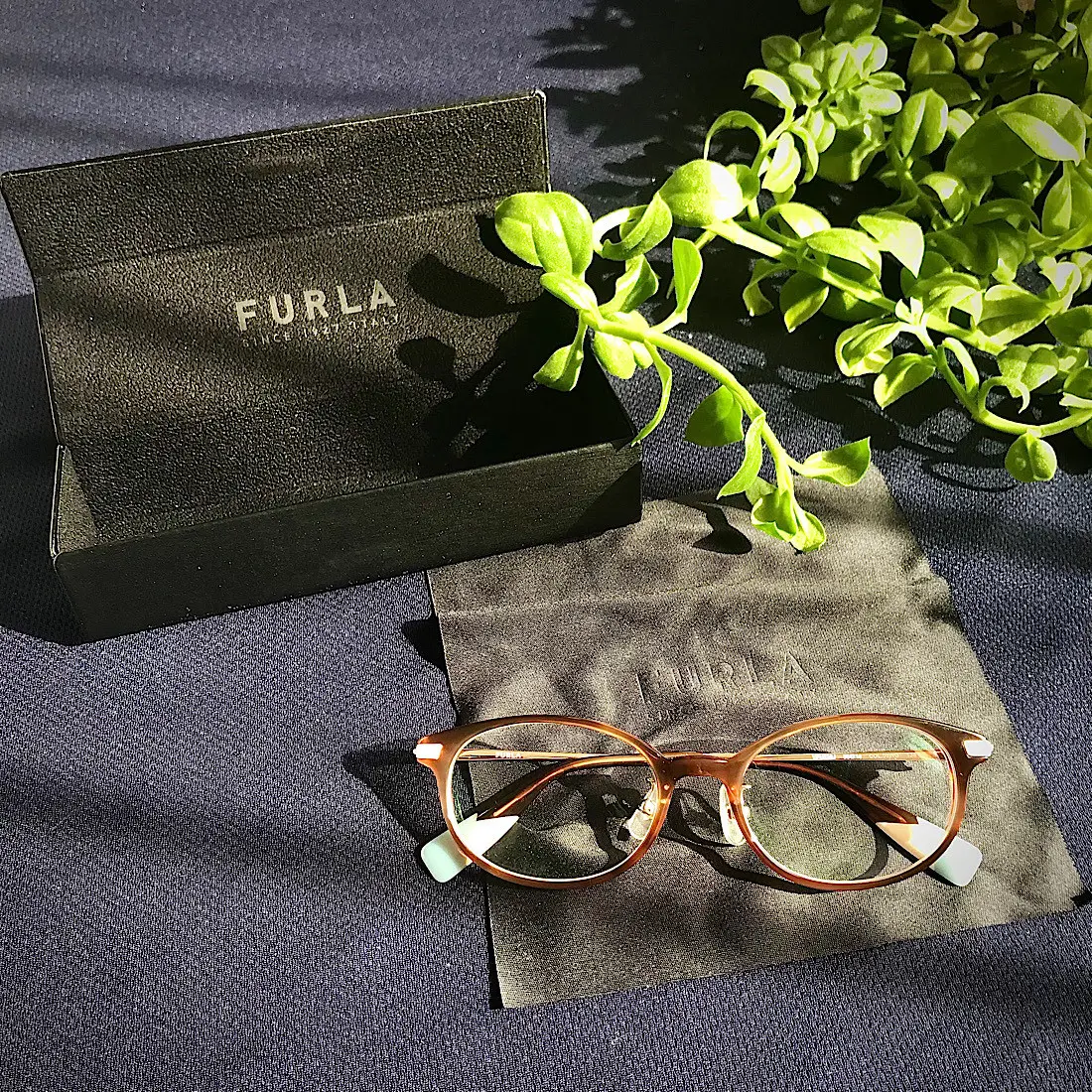 メガネフレーム