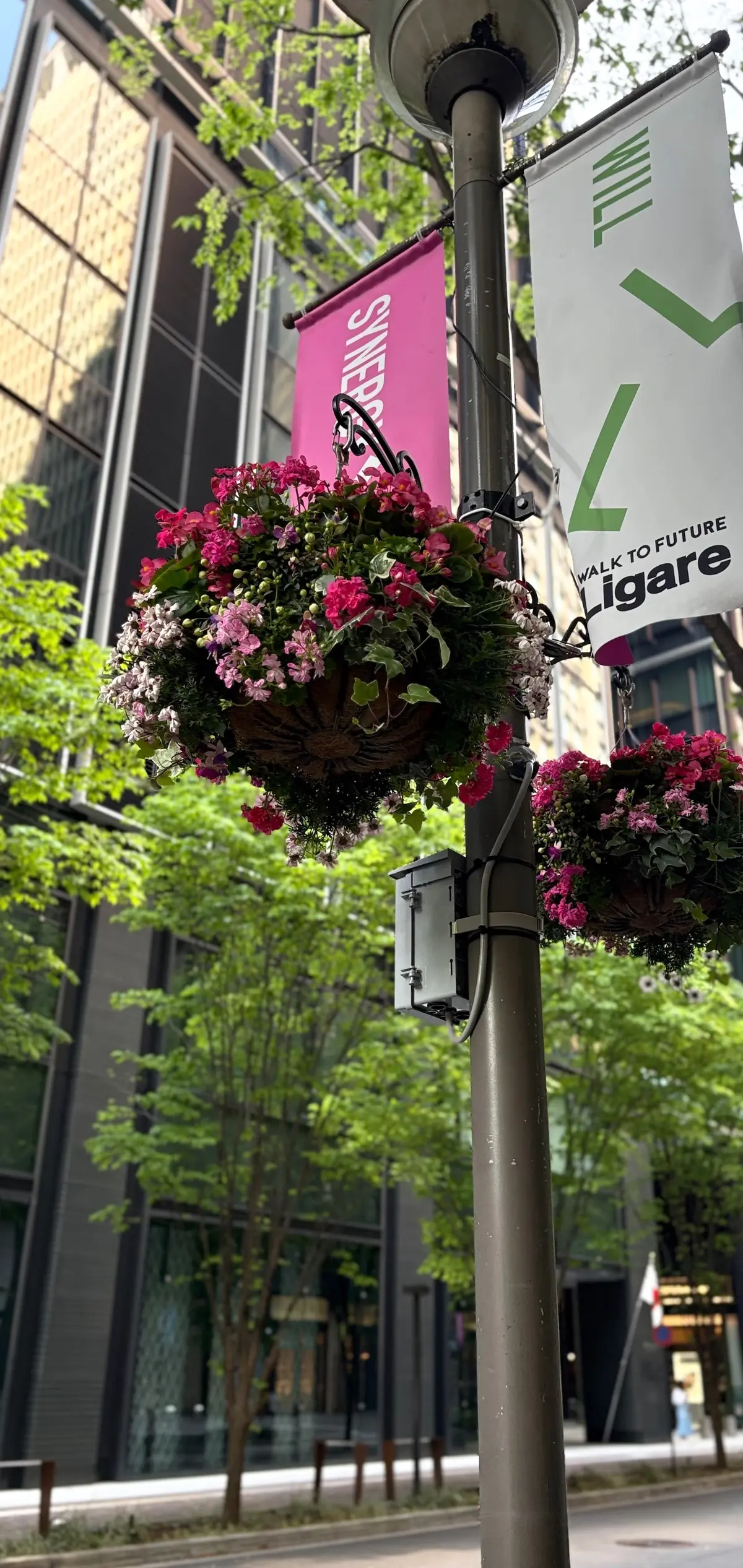 GW学生時代友人たちとランチ会@東京駅の画像_21