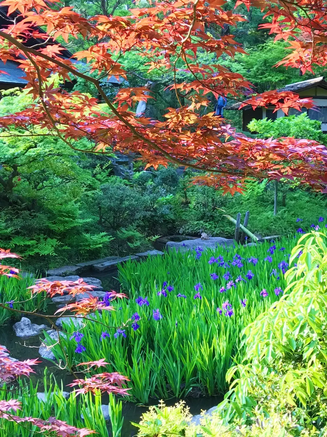 今日のコーデ@根津美術館の画像_4