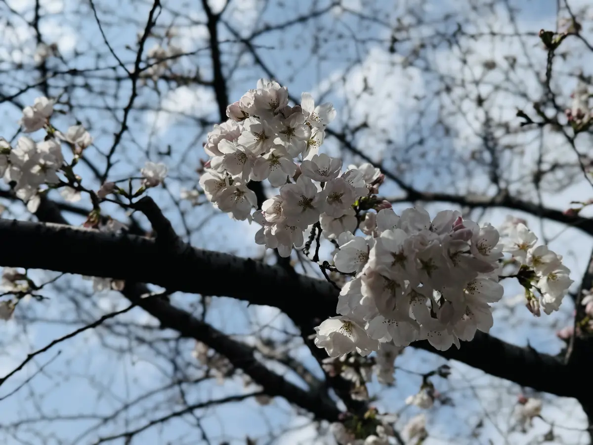 母とデート☺️の画像_1