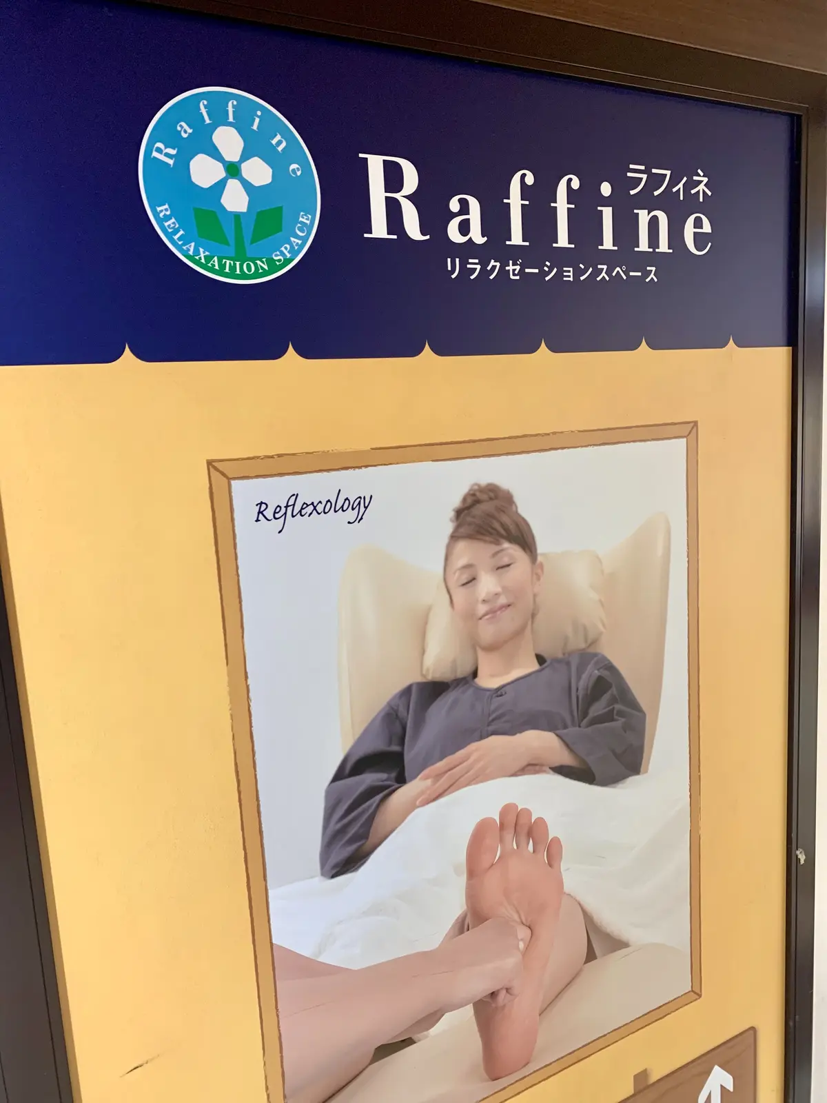 timeleszライブ @大阪城ホールにの画像_3