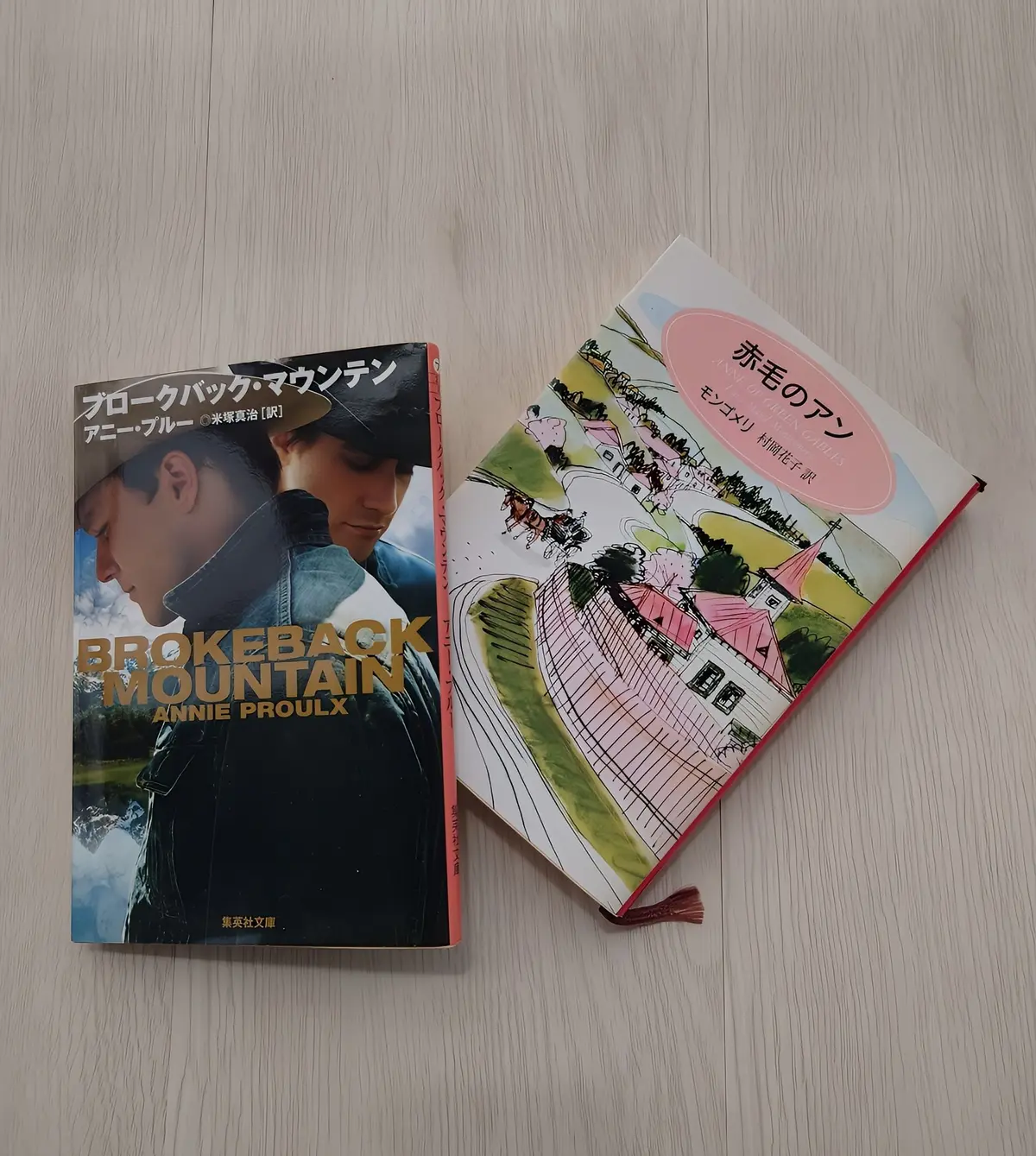 赤毛のアンとブロークバック・マウンテン