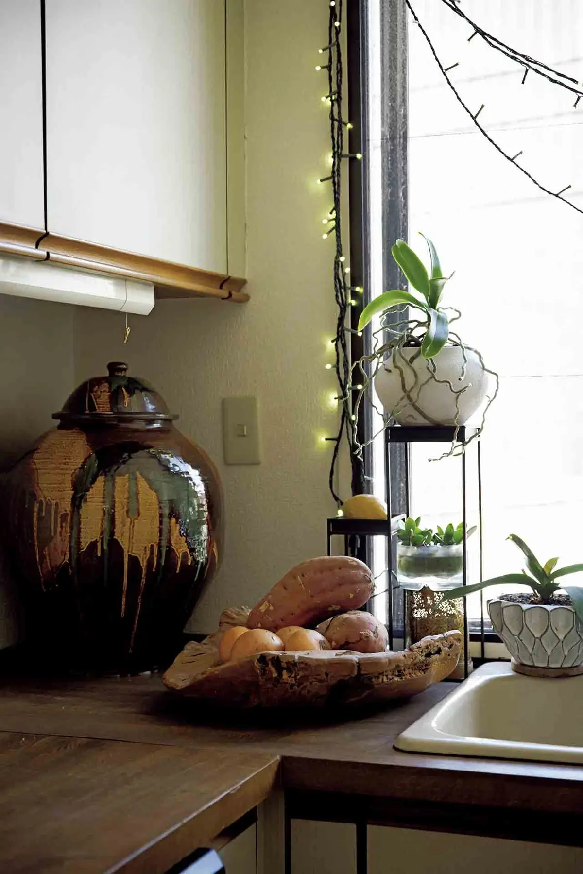 大きな壺はパートナーが持ち帰った